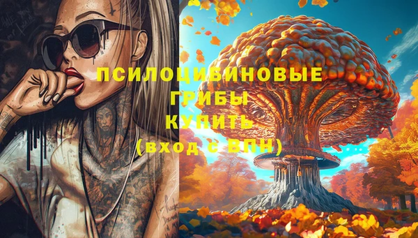гидропоника Арсеньев