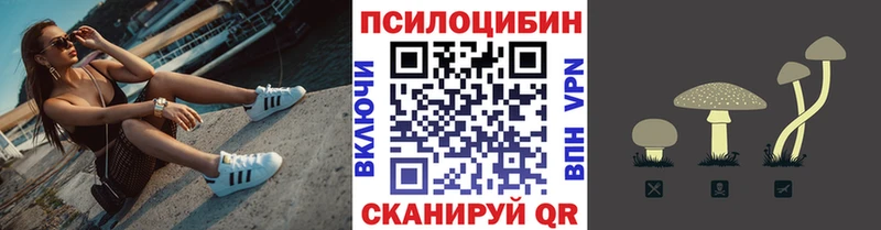ОМГ ОМГ   Микунь  сайты даркнета формула  сколько стоит  Псилоцибиновые грибы Magic Shrooms 